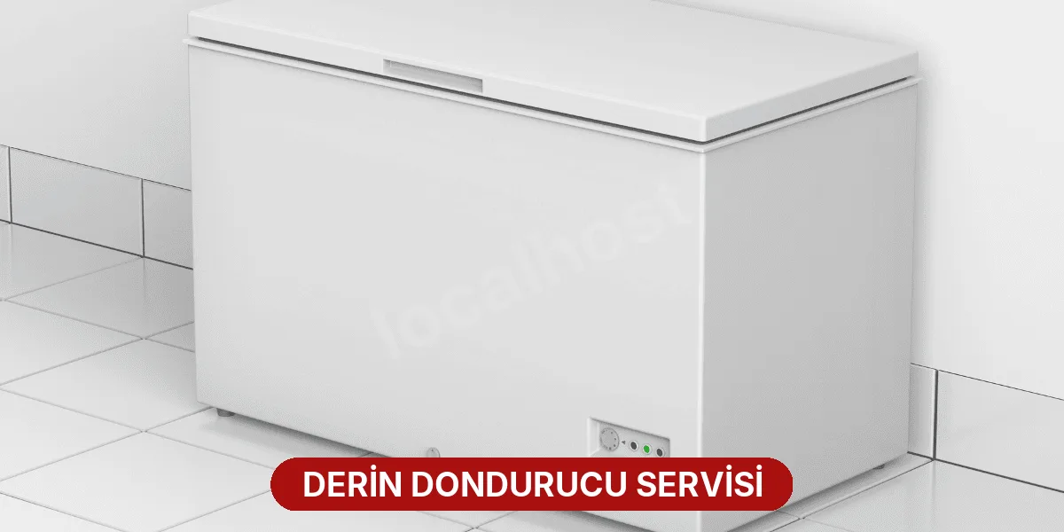 Derin Dondurucu Servisi