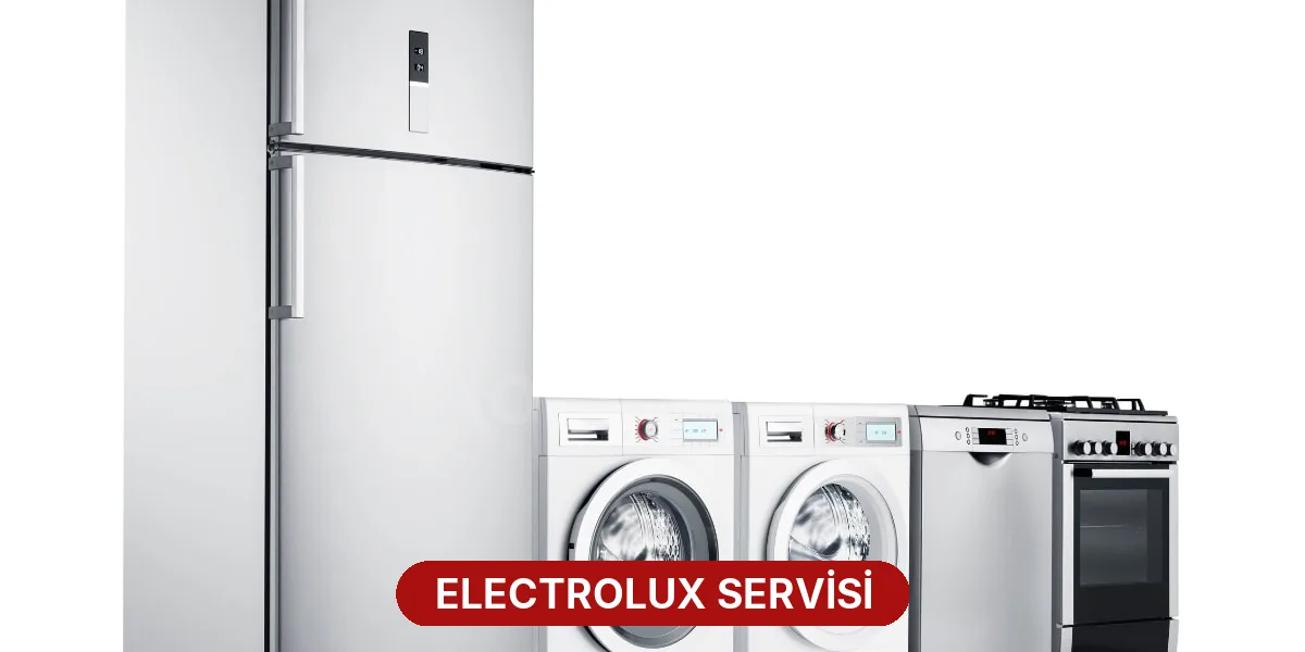 Electrolux Servisi