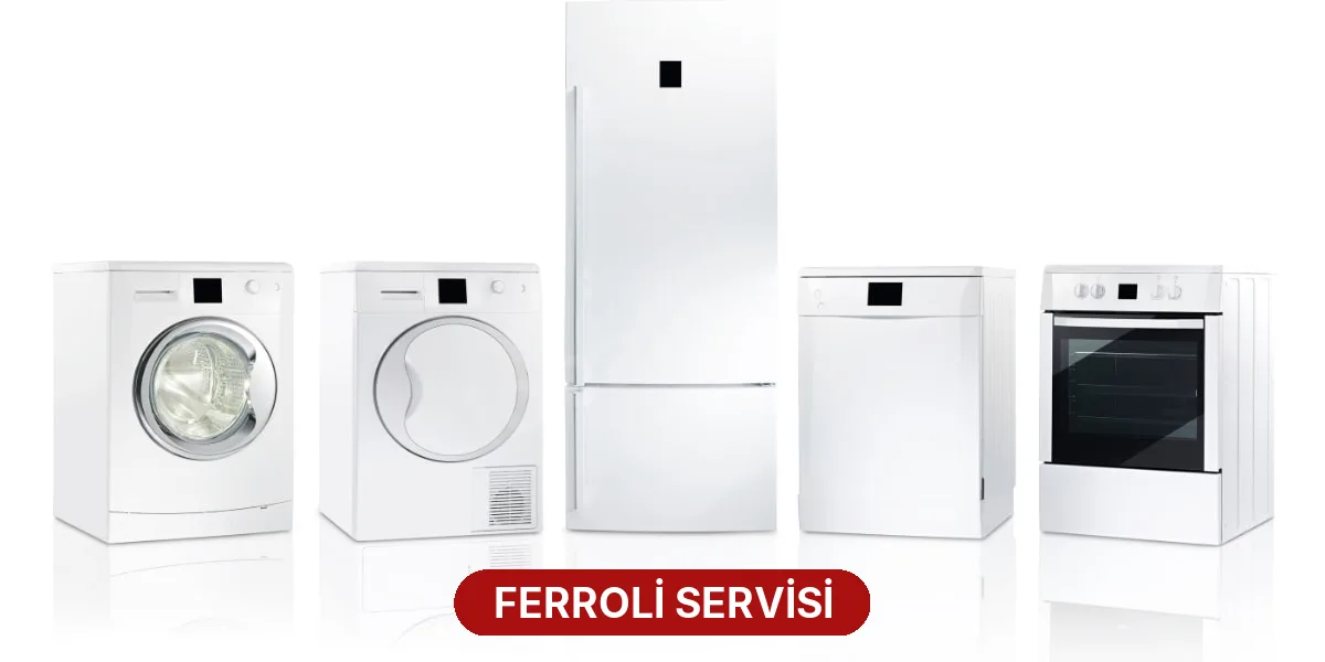 Ferroli Servisi