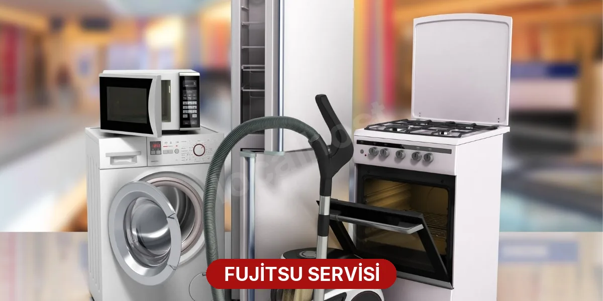 Fujitsu Servisi