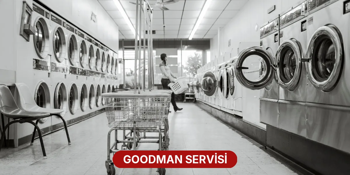 Goodman Servisi
