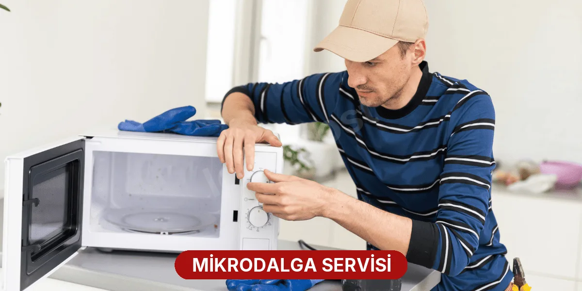 Mikrodalga Servisi