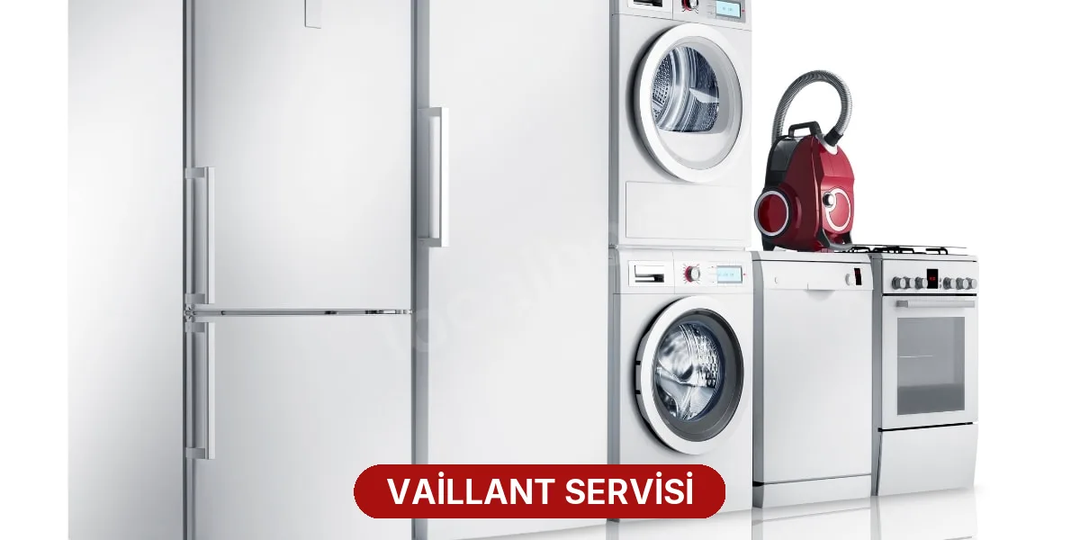 Vaillant Servisi